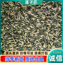 莲子芯江西基地直供，品质保证一手货源，量大从优代发全国