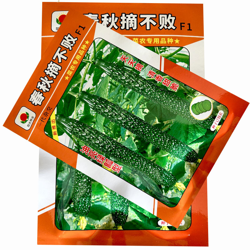 黄瓜种子春秋摘不败黄瓜种籽耐高温瓜码密油亮绿瓤黄瓜籽