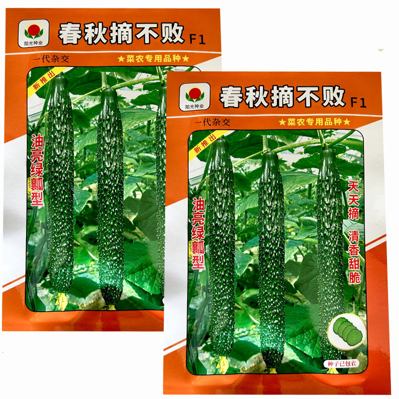 黄瓜种子春秋摘不败黄瓜种籽耐高温瓜码密油亮绿瓤黄瓜籽