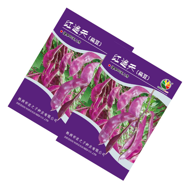 红遍天扁豆种子紫眉豆籽10克早熟采收期长耐热耐旱