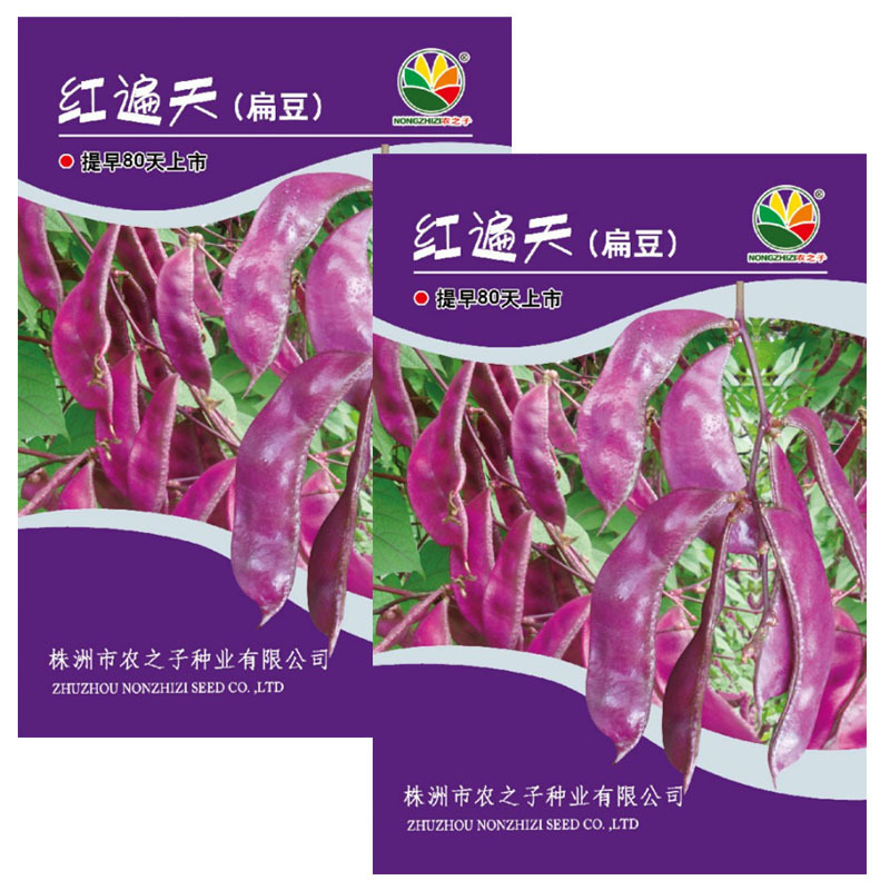 红遍天扁豆种子紫眉豆籽10克早熟采收期长耐热耐旱