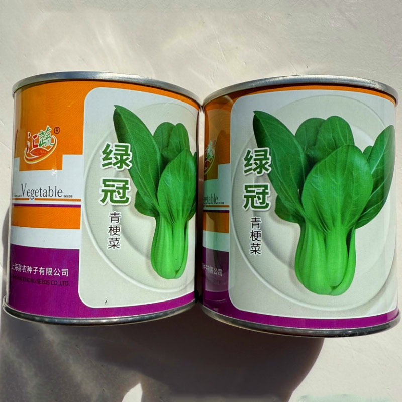 绿冠青梗菜种子耐热耐湿抗病高产上海青菜种籽农家春夏秋季播