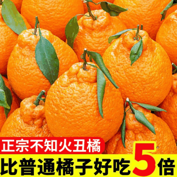 丑橘黄果柑黄皮果大量现货供应抖音快手视频号一件代发