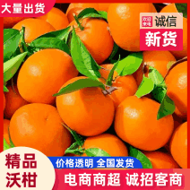 一件代发广西沃柑抖音快手淘宝拼多多视频号直播带货美团多多