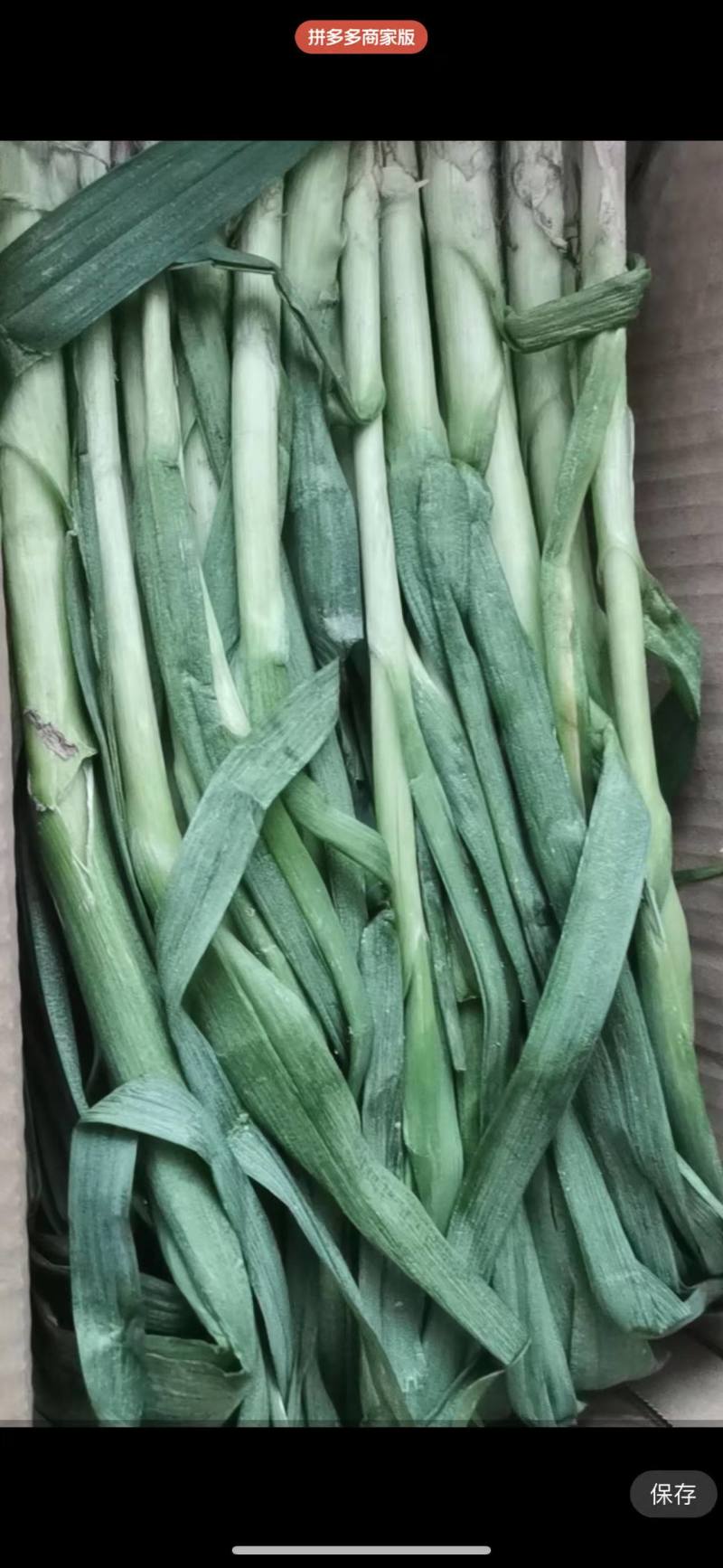 【推荐】红根蒜苗，供应市场商超电商，一手货源量大从优