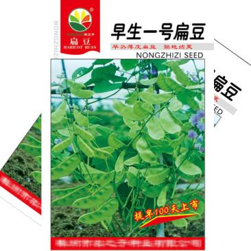 早生一号扁豆种子青眉豆耐热耐寒搭架爬藤豆角种子