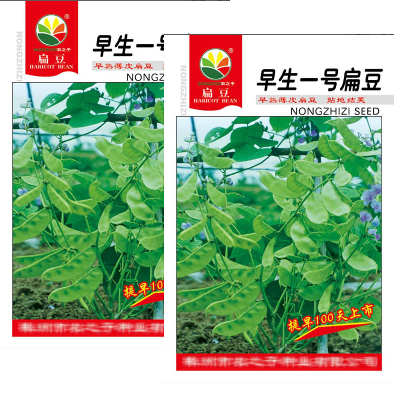 早生一号扁豆种子青眉豆耐热耐寒搭架爬藤豆角种子