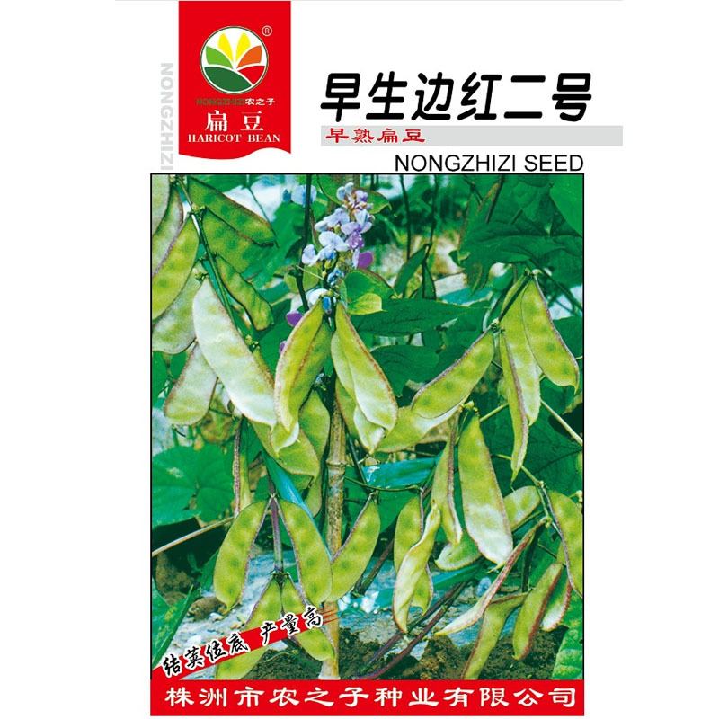 早生边红二号扁豆种子早熟眉豆10克优质良种大田基地品