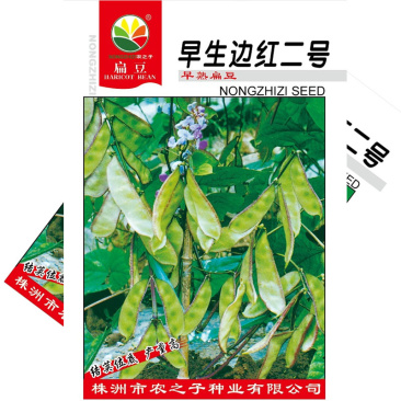 早生边红二号扁豆种子早熟眉豆10克优质良种大田基地品
