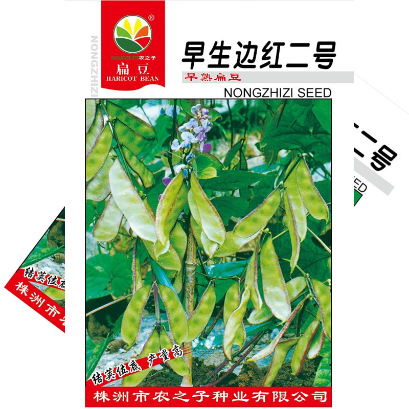 早生边红二号扁豆种子早熟眉豆10克优质良种大田基地品