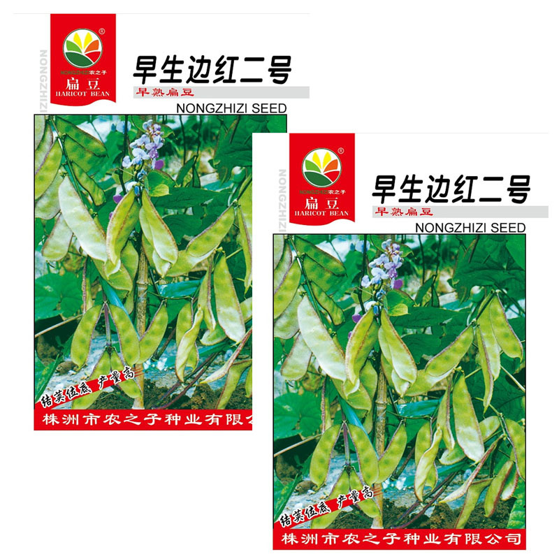 早生边红二号扁豆种子早熟眉豆10克优质良种大田基地品