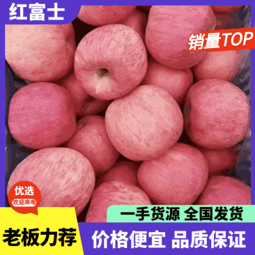 红富士苹果苹果口感脆甜规格齐全保质保量