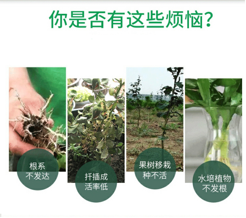 生根粉促根壮棵生根育苗移栽养根复壮冲施滴灌果树蔬菜大田农