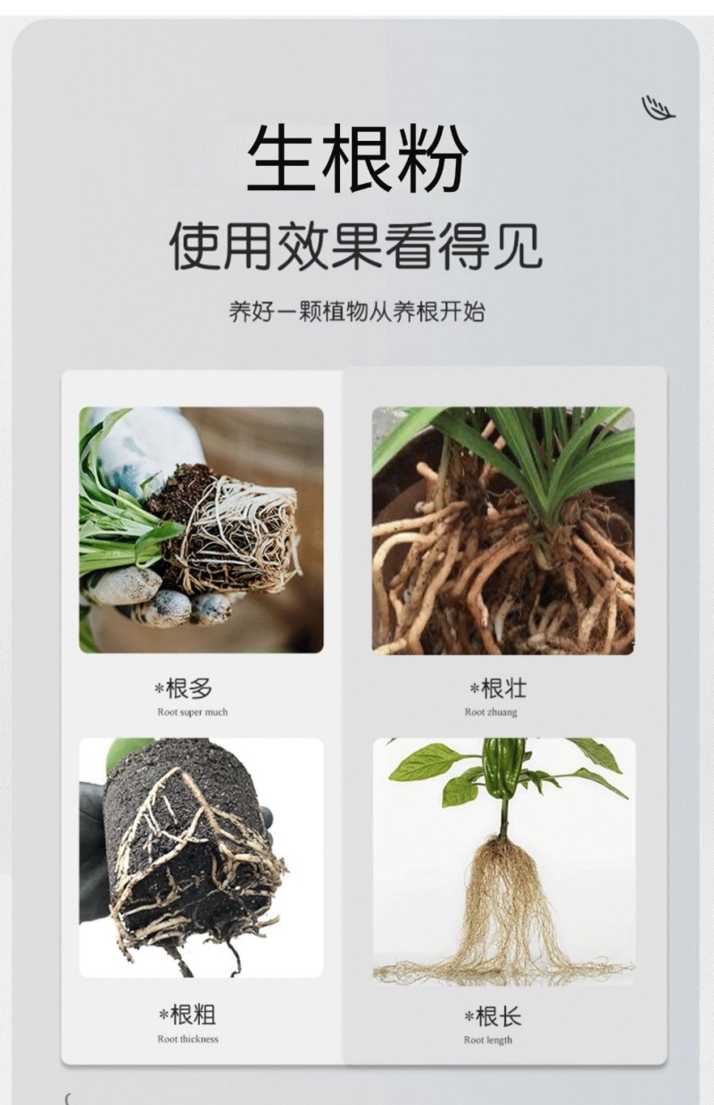 生根粉促根壮棵生根育苗移栽养根复壮冲施滴灌果树蔬菜大田农