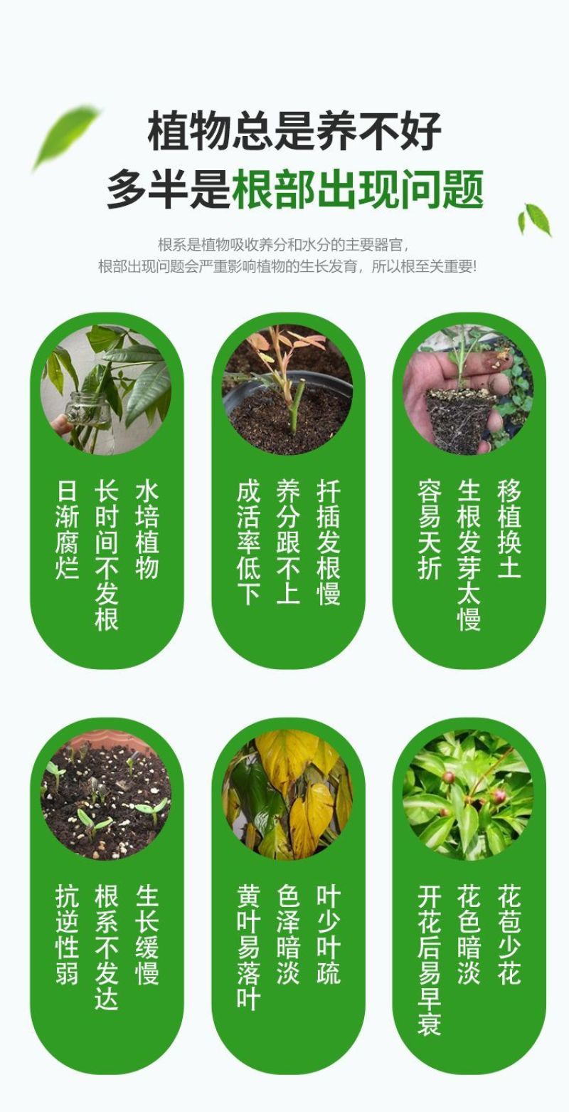 生根粉促进生根生根壮苗根多根壮养根扦插移栽果树蔬菜农用