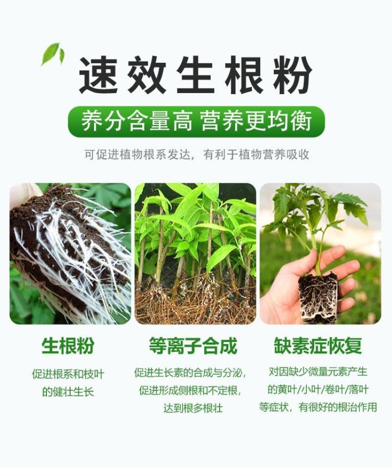 生根粉促进生根生根壮苗根多根壮养根扦插移栽果树蔬菜农用