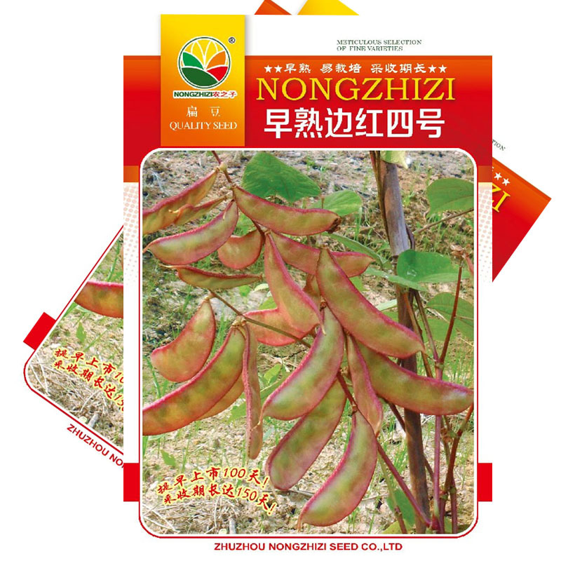 早熟边红四号扁豆种子花边紫眉豆易栽培采收期长四季可播