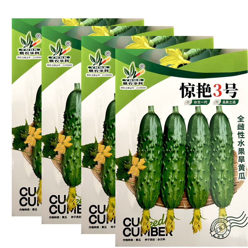 水果黄瓜种子惊艳3号全雌旱黄瓜种籽翠绿稀刺瘤果肉浅绿色口