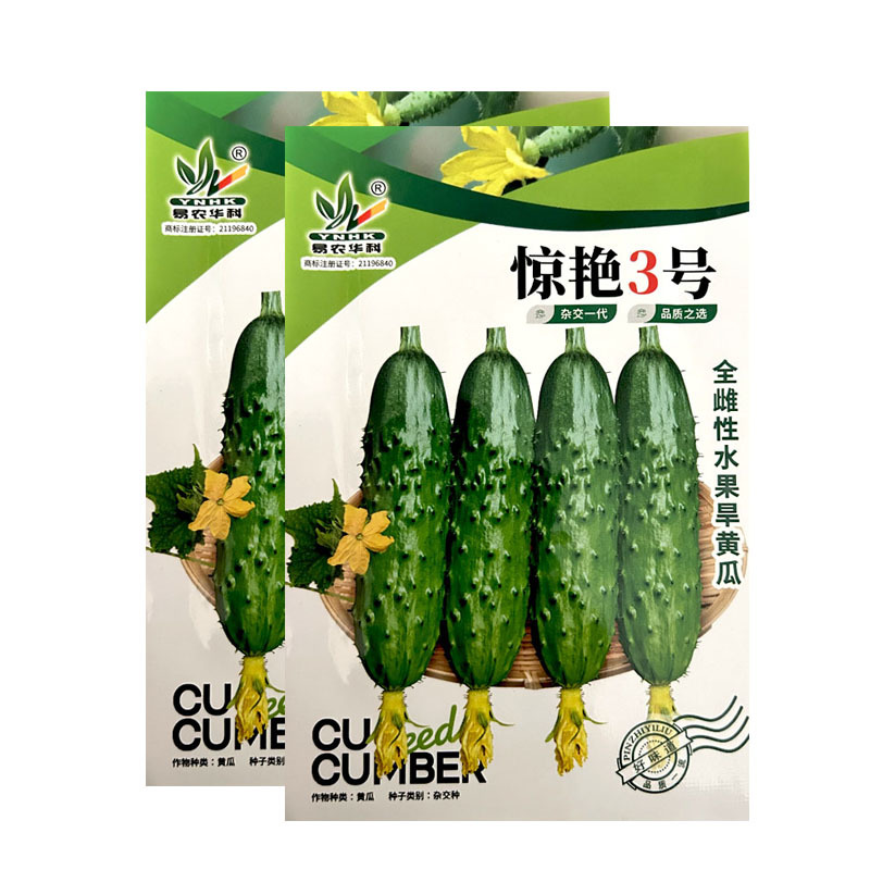 水果黄瓜种子惊艳3号全雌旱黄瓜种籽翠绿稀刺瘤果肉浅绿色口