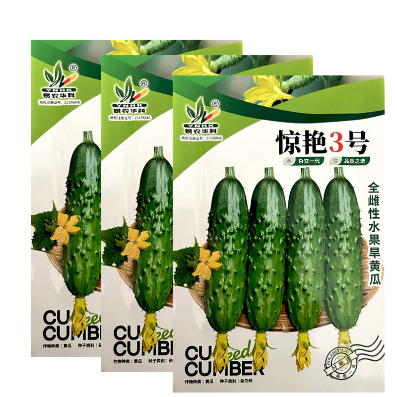 水果黄瓜种子惊艳3号全雌旱黄瓜种籽翠绿稀刺瘤果肉浅绿色口