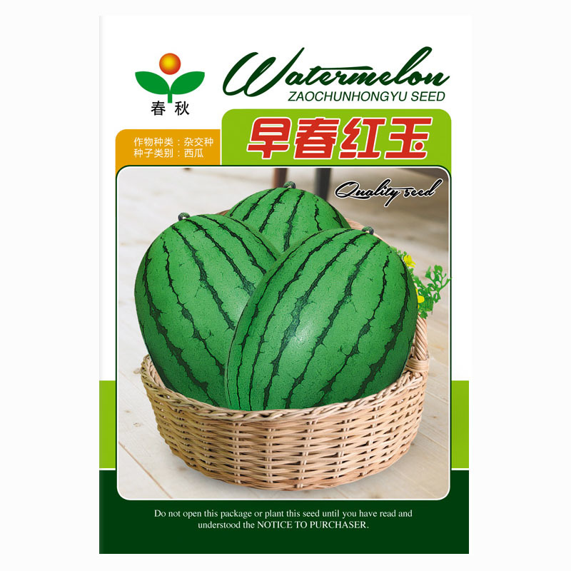 早春红玉下挂种子早熟礼品红肉西瓜皮薄耐裂抗病高产