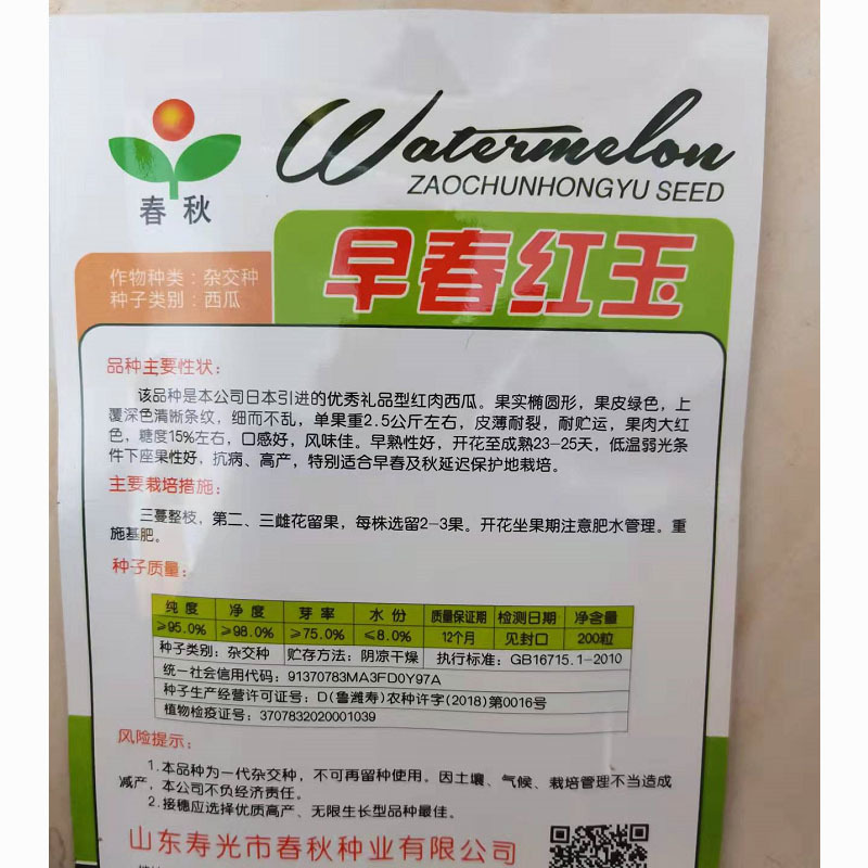 早春红玉下挂种子早熟礼品红肉西瓜皮薄耐裂抗病高产