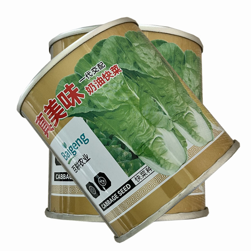 真美味奶油快菜种子四季鲜嫩阳台高产耐热耐寒25天速生小白
