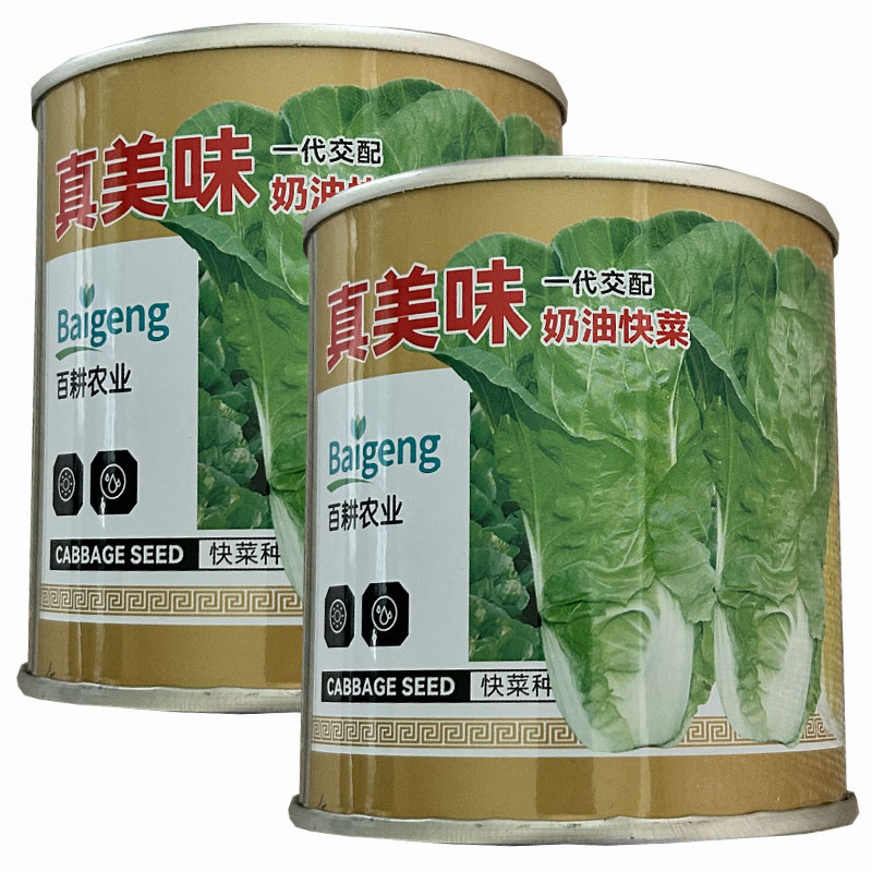 真美味奶油快菜种子四季鲜嫩阳台高产耐热耐寒25天速生小白