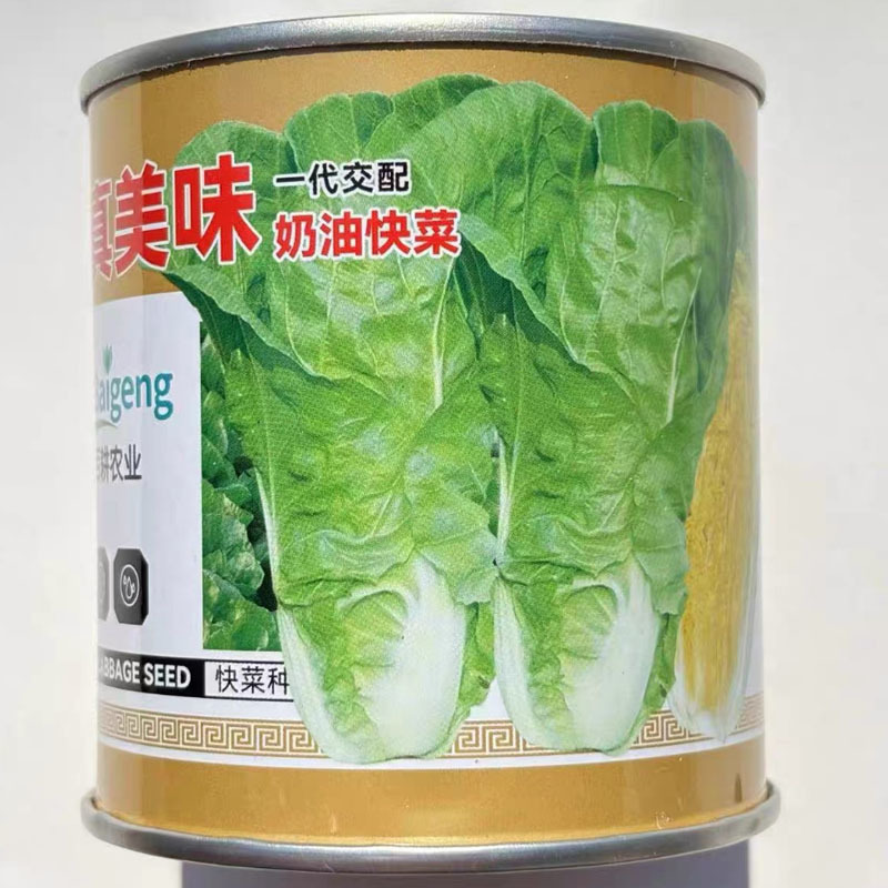 真美味奶油快菜种子四季鲜嫩阳台高产耐热耐寒25天速生小白