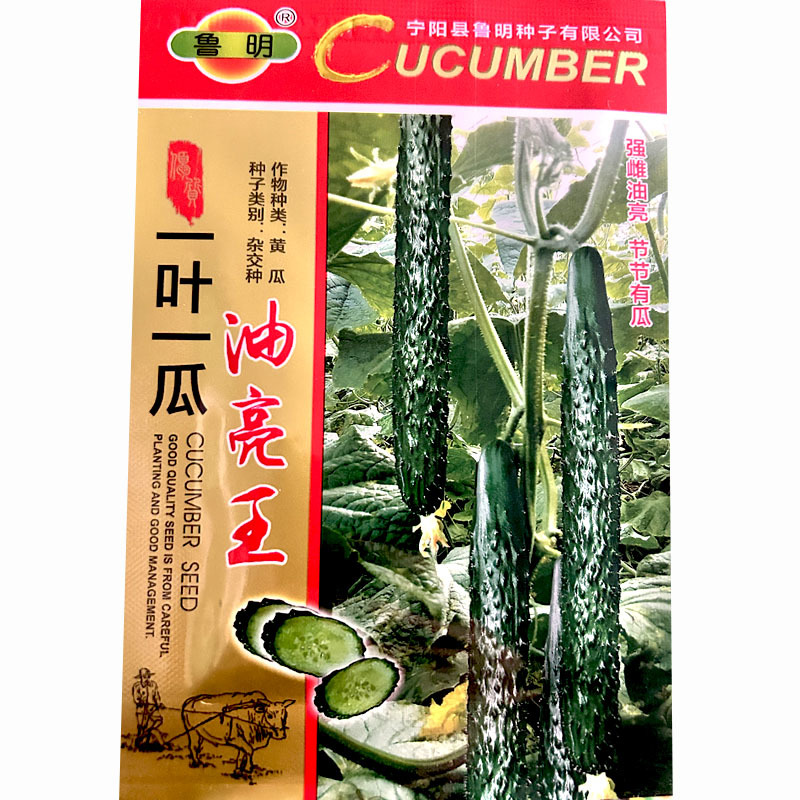 一叶一瓜油亮王黄瓜种子深绿油亮黄瓜春夏秋露地种植口感清香
