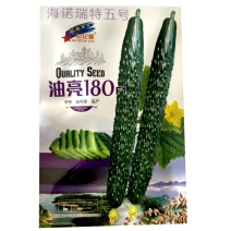 油亮180黄瓜种子绿芯黄瓜皮深绿光亮春夏秋露地种植黄瓜