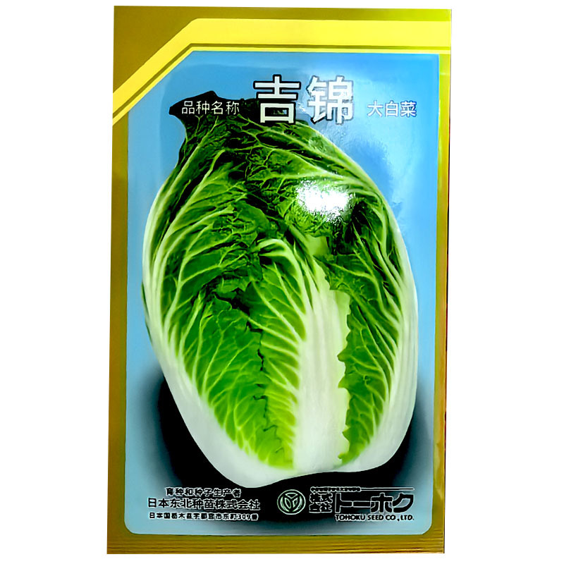 吉锦春大白菜种子10g早熟耐低温耐抽薹春白菜种子高产