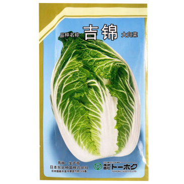 吉锦春大白菜种子10g早熟耐低温耐抽薹春白菜种子高产
