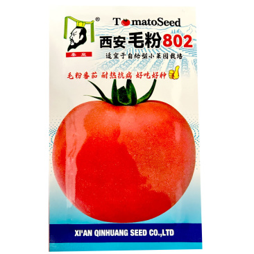 西安毛粉802番茄种子硬果西红柿籽高秧粉果座果能力强