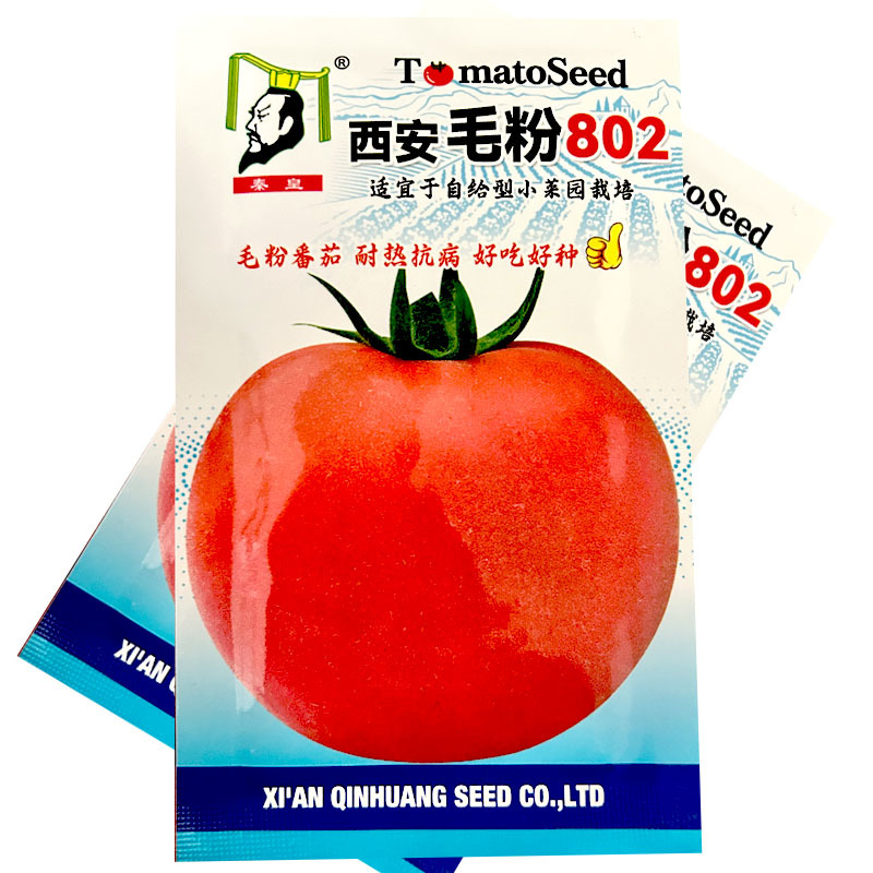 西安毛粉802番茄种子硬果西红柿籽高秧粉果座果能力强