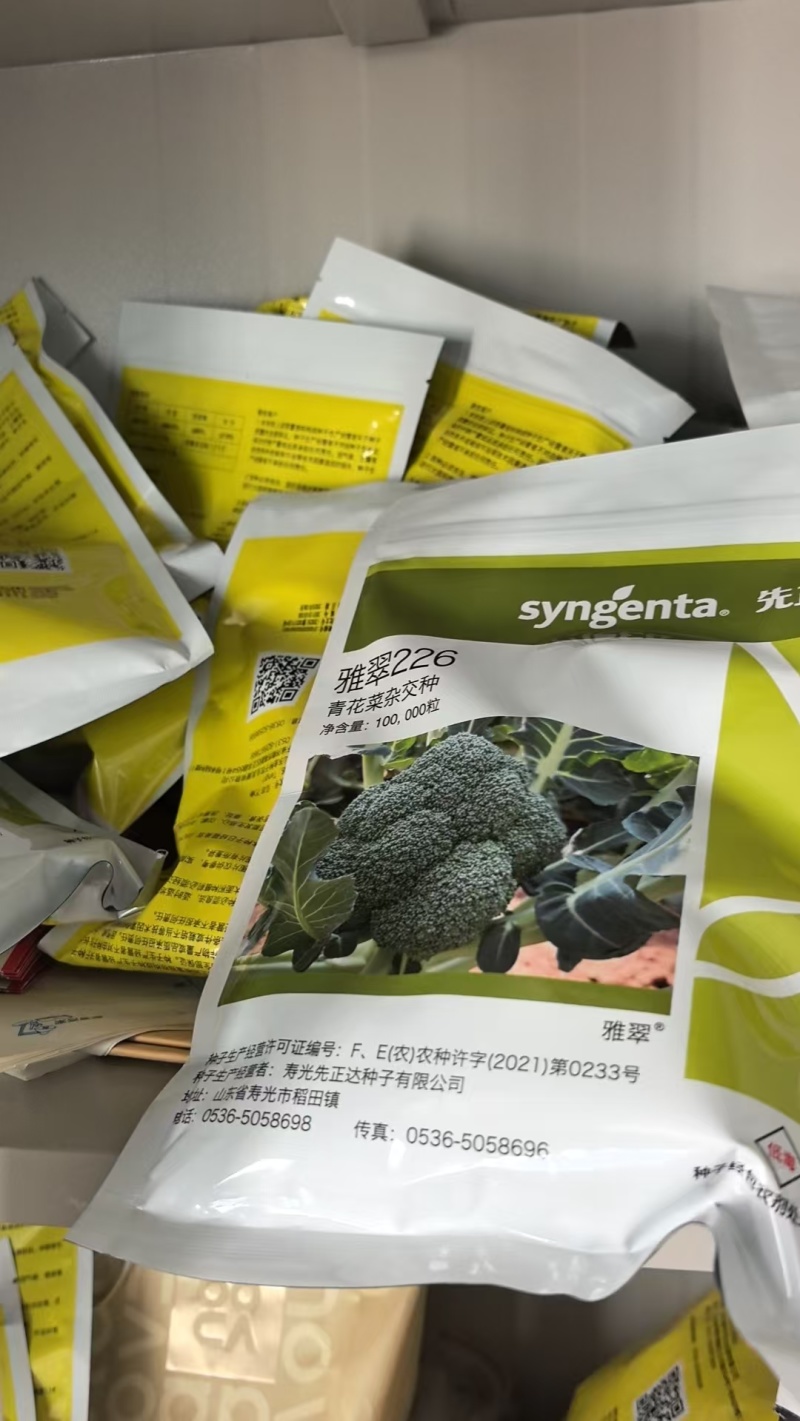 【精选】雅翠西兰花苗/云南基地直发/免费提供技术指导