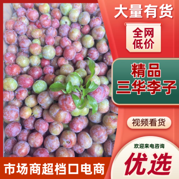 三华李钱排实力供应链支持代发可日出万单批发