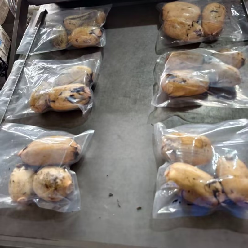 莲藕花奇莲大量有货可供应到五月份真空包装可根据需求定制