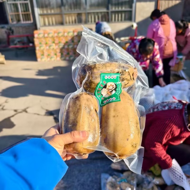 莲藕第一年溏藕大量供应真空包装价格便宜跟定制包装