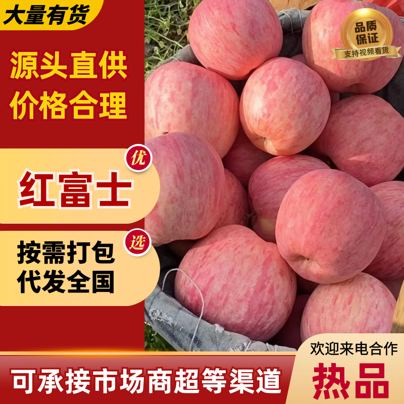 精品苹果红富士苹果网袋纸袋品质保证欢迎咨询