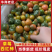 草莓柿子产地一手货源全国发货品质保证欢迎老板联系
