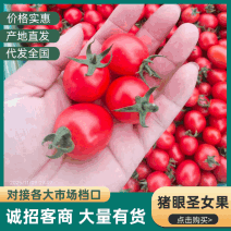 河南圣女果，滑县圣女果黄果，千玺，红果电商，市场，外贸