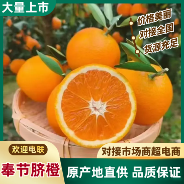 奉节脐橙（纽荷尔、长虹）产地直销，果园直采，欢迎来电咨询