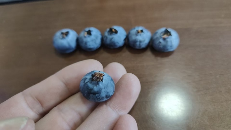 花香蓝莓【四川l25蓝莓】支持视频看货，可发往全国市场