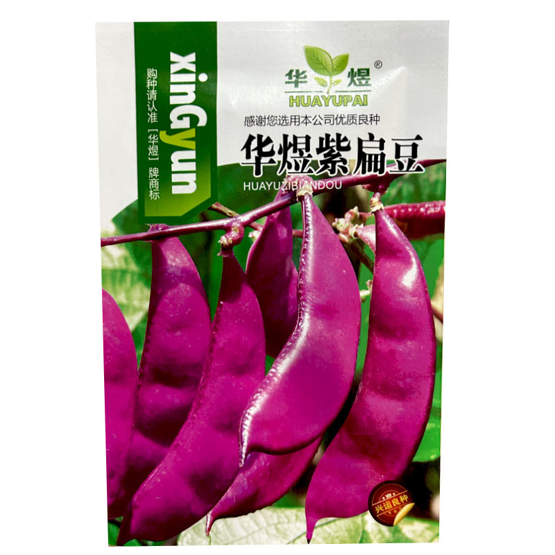 紫眉豆种子嫩荚紫红色早熟肉厚纤维少搭架豆角家庭菜园