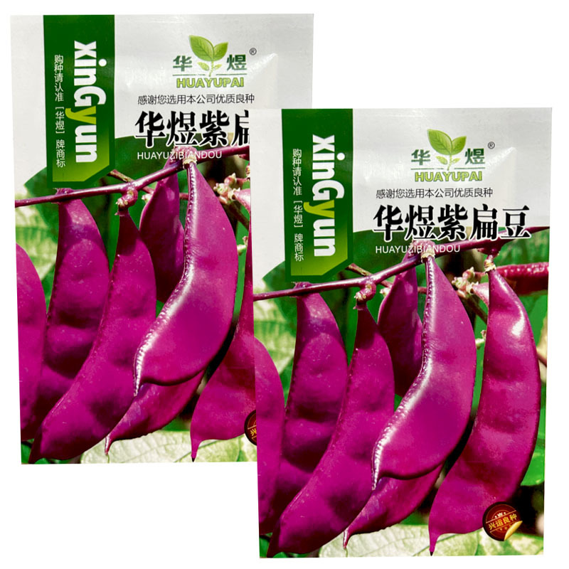 紫眉豆种子嫩荚紫红色早熟肉厚纤维少搭架豆角家庭菜园