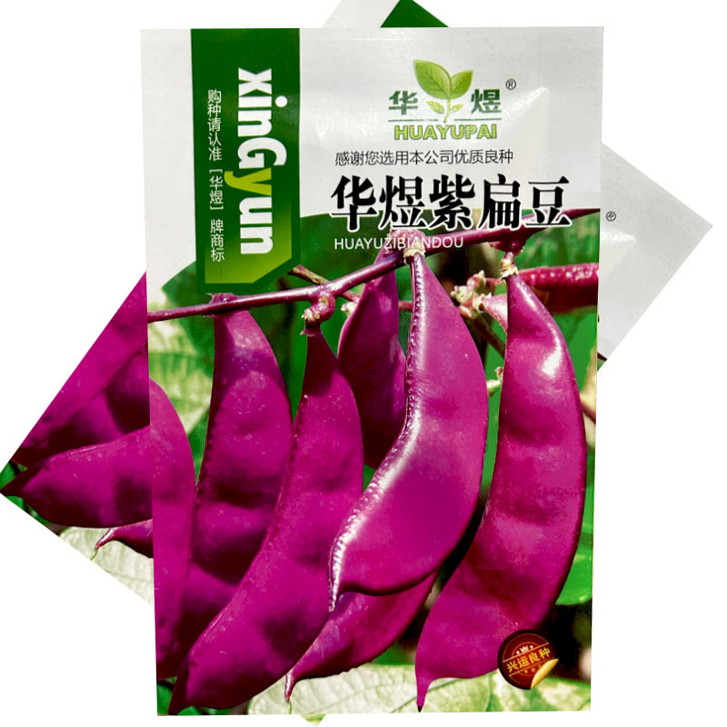 紫眉豆种子嫩荚紫红色早熟肉厚纤维少搭架豆角家庭菜园