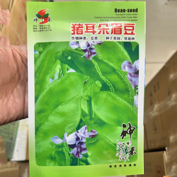 猪耳朵眉豆种子结荚多四季耐热易种植採栽时间长