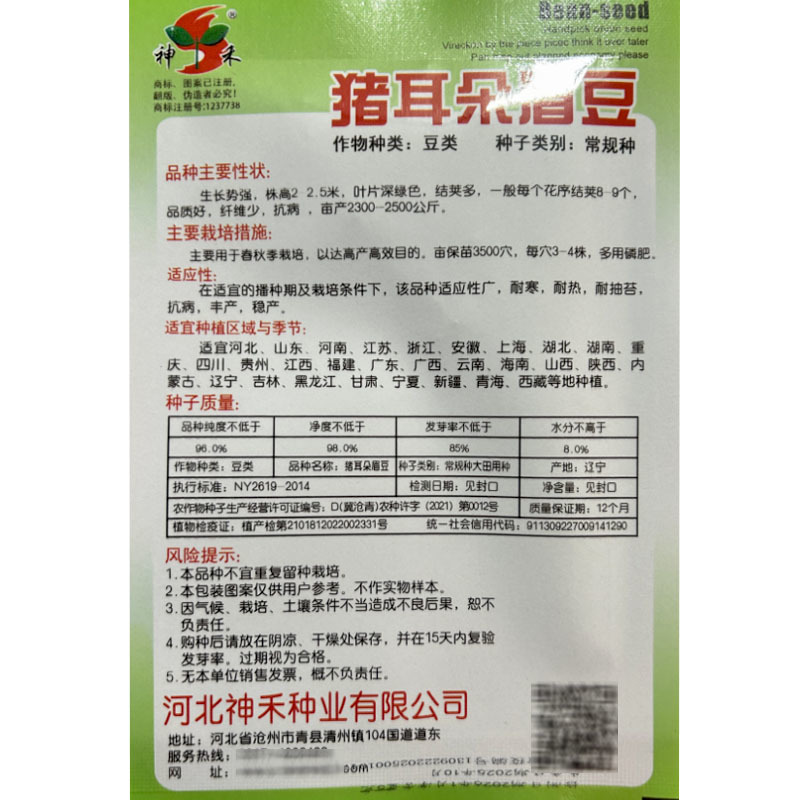 猪耳朵眉豆种子结荚多四季耐热易种植採栽时间长