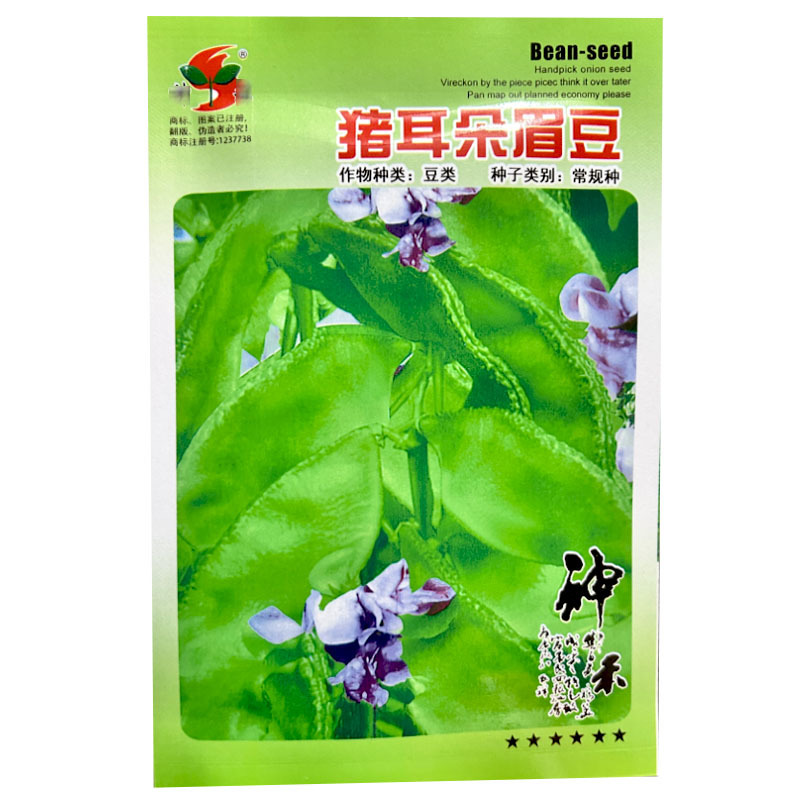 猪耳朵眉豆种子结荚多四季耐热易种植採栽时间长